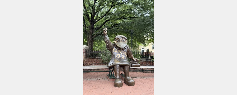 Image from University of South Carolina