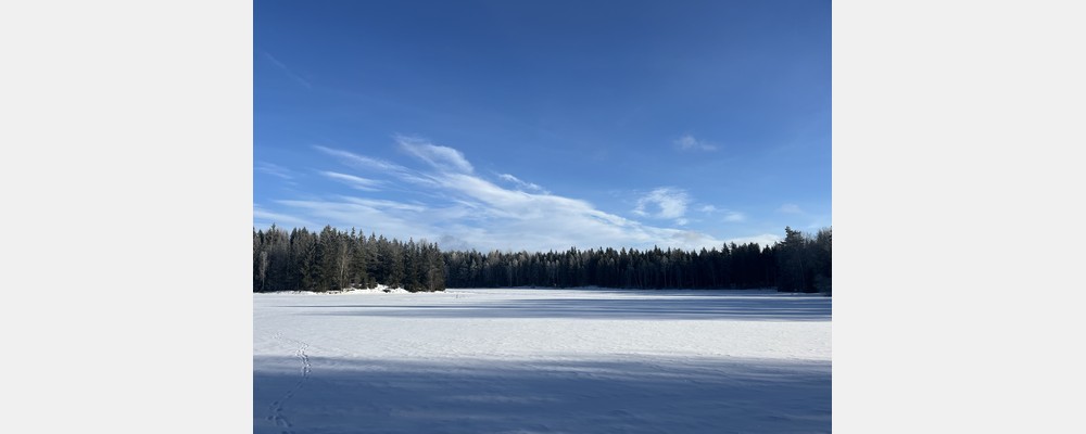 Image from Uppsala University