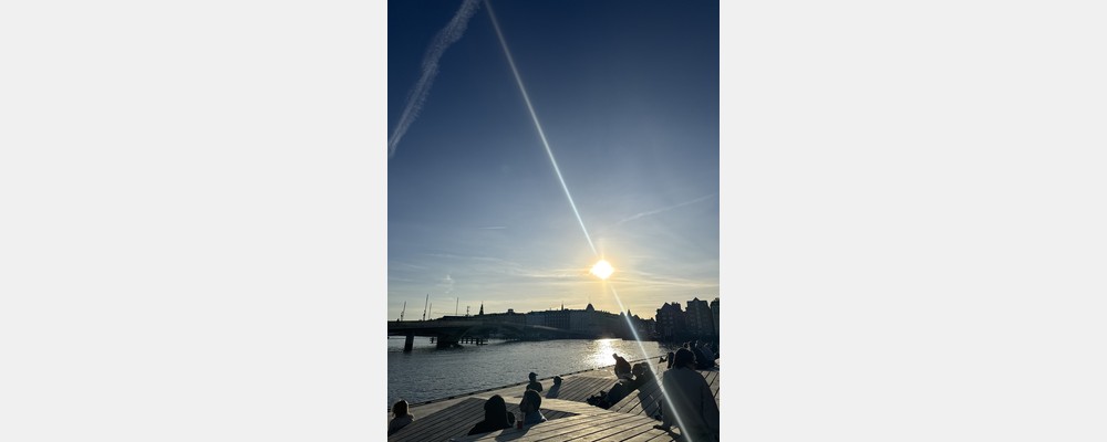 Image from Copenhagen Business School