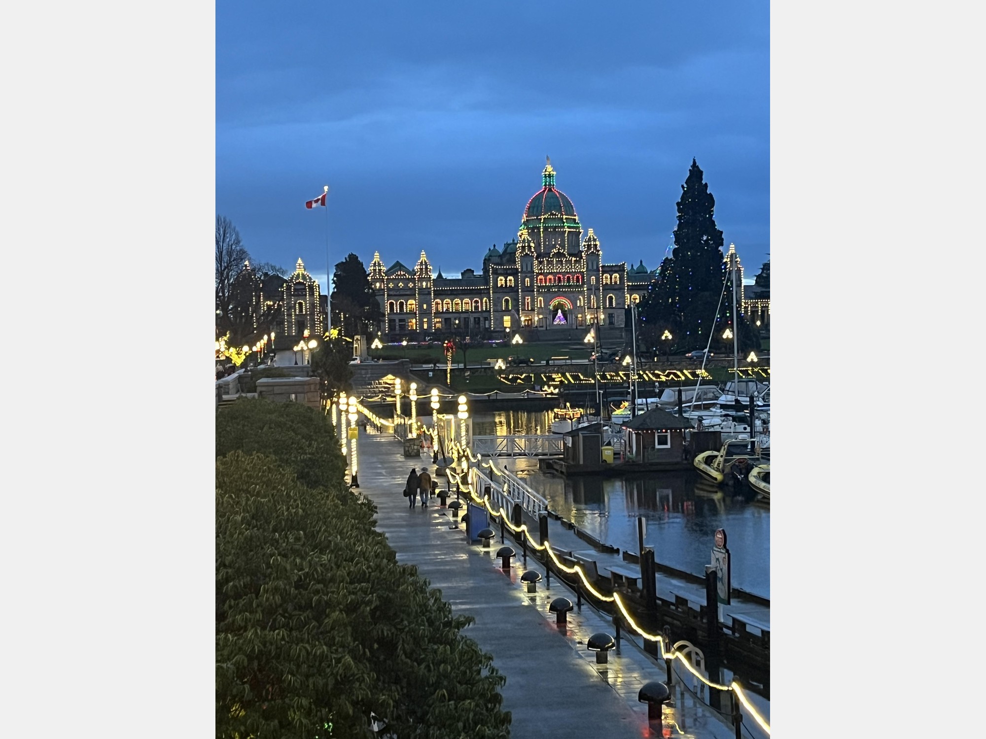 Image from University of Victoria