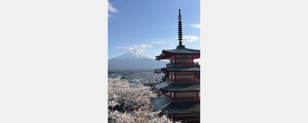 Image from Waseda University