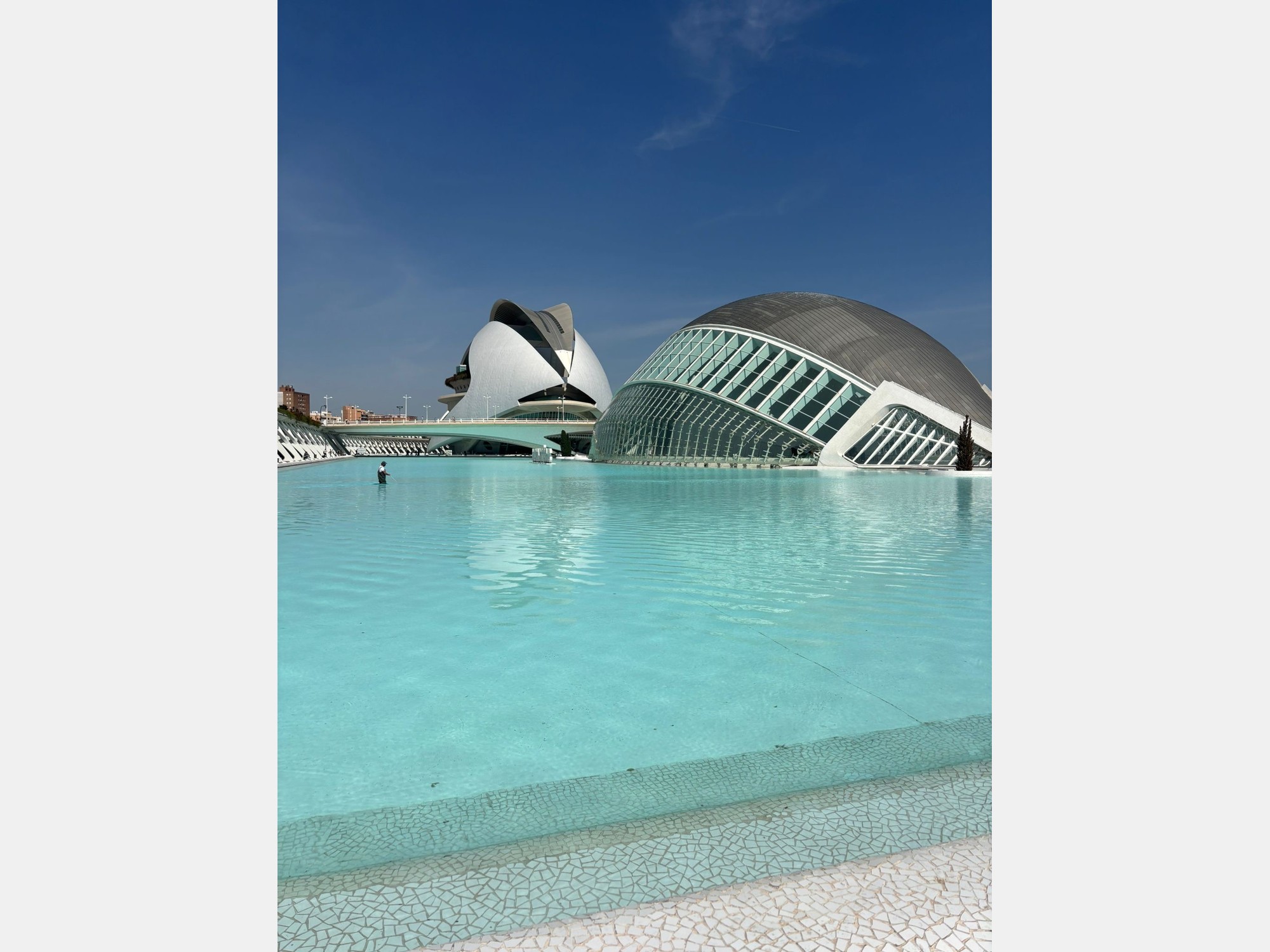 Image from Universitat de Valencia