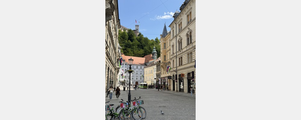 Image from University of Ljubljana