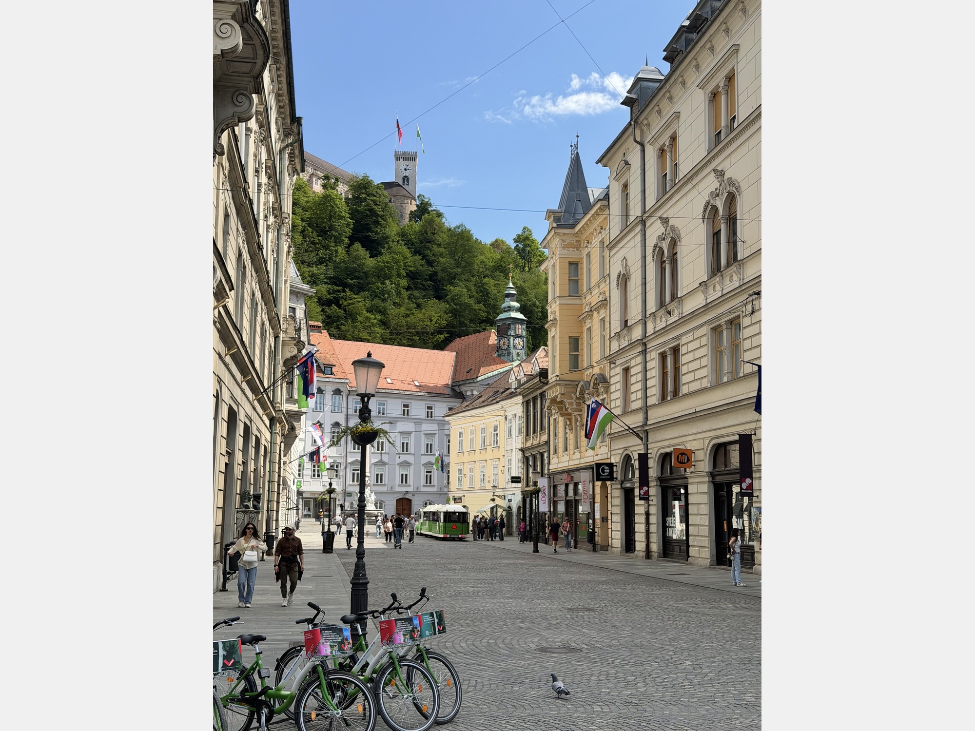 Image from University of Ljubljana