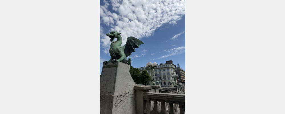 Image from University of Ljubljana