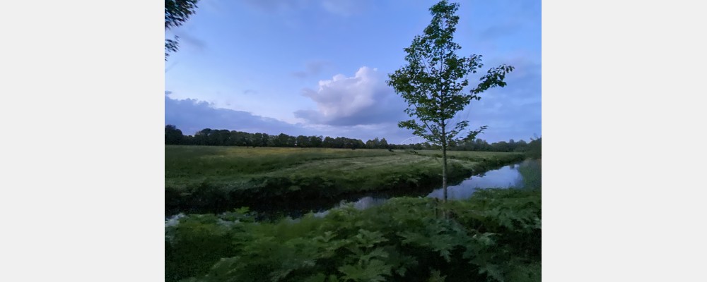 Image from University of Groningen