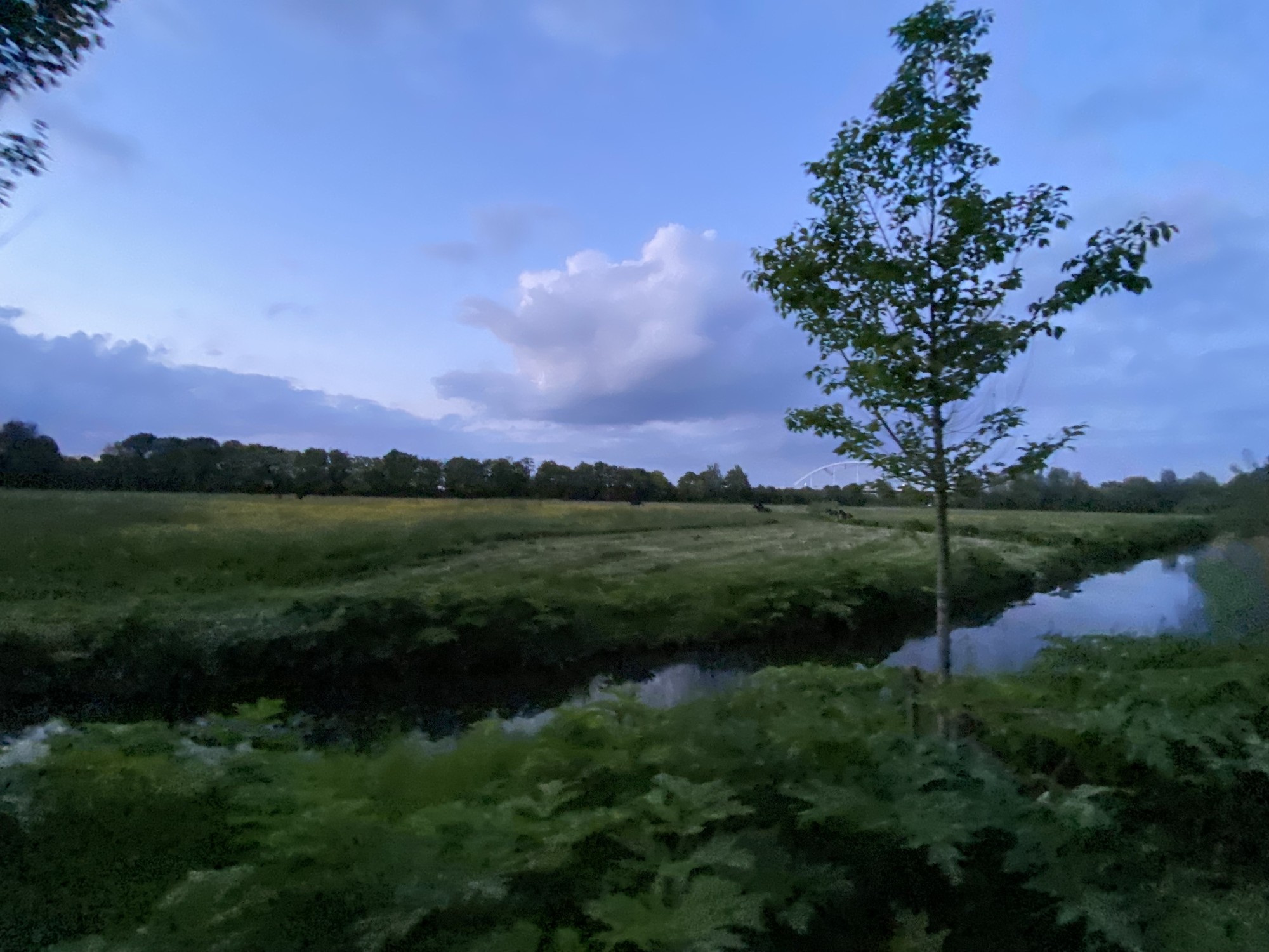 Image from University of Groningen