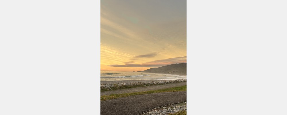 Image from University of Canterbury