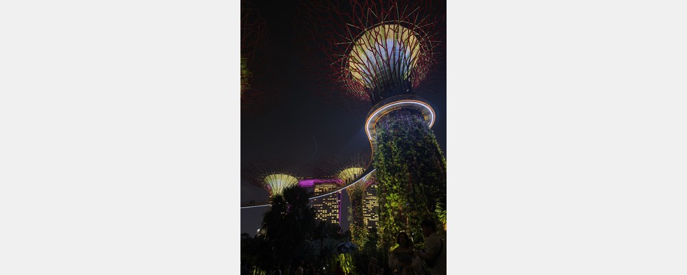 Image from Nanyang Technological University
