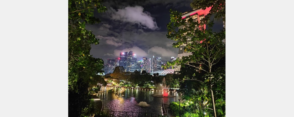 Image from National University of Singapore