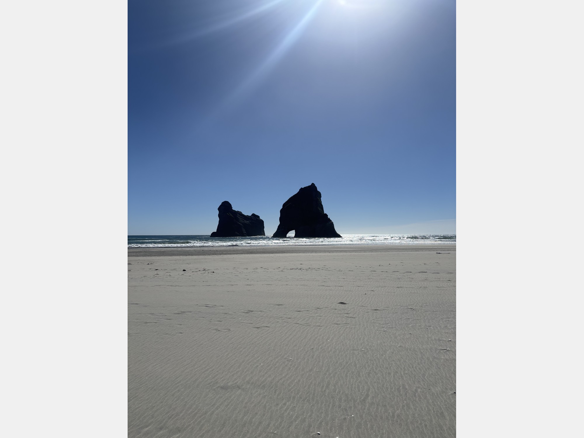 Image from University of Canterbury