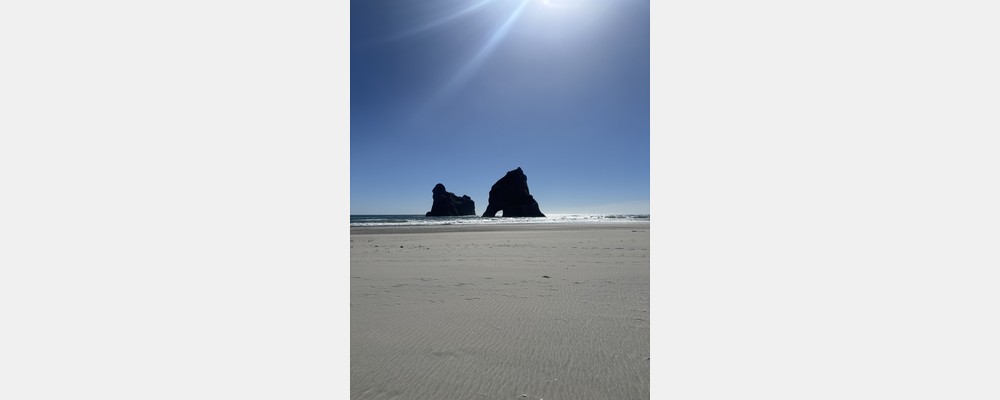 Image from University of Canterbury