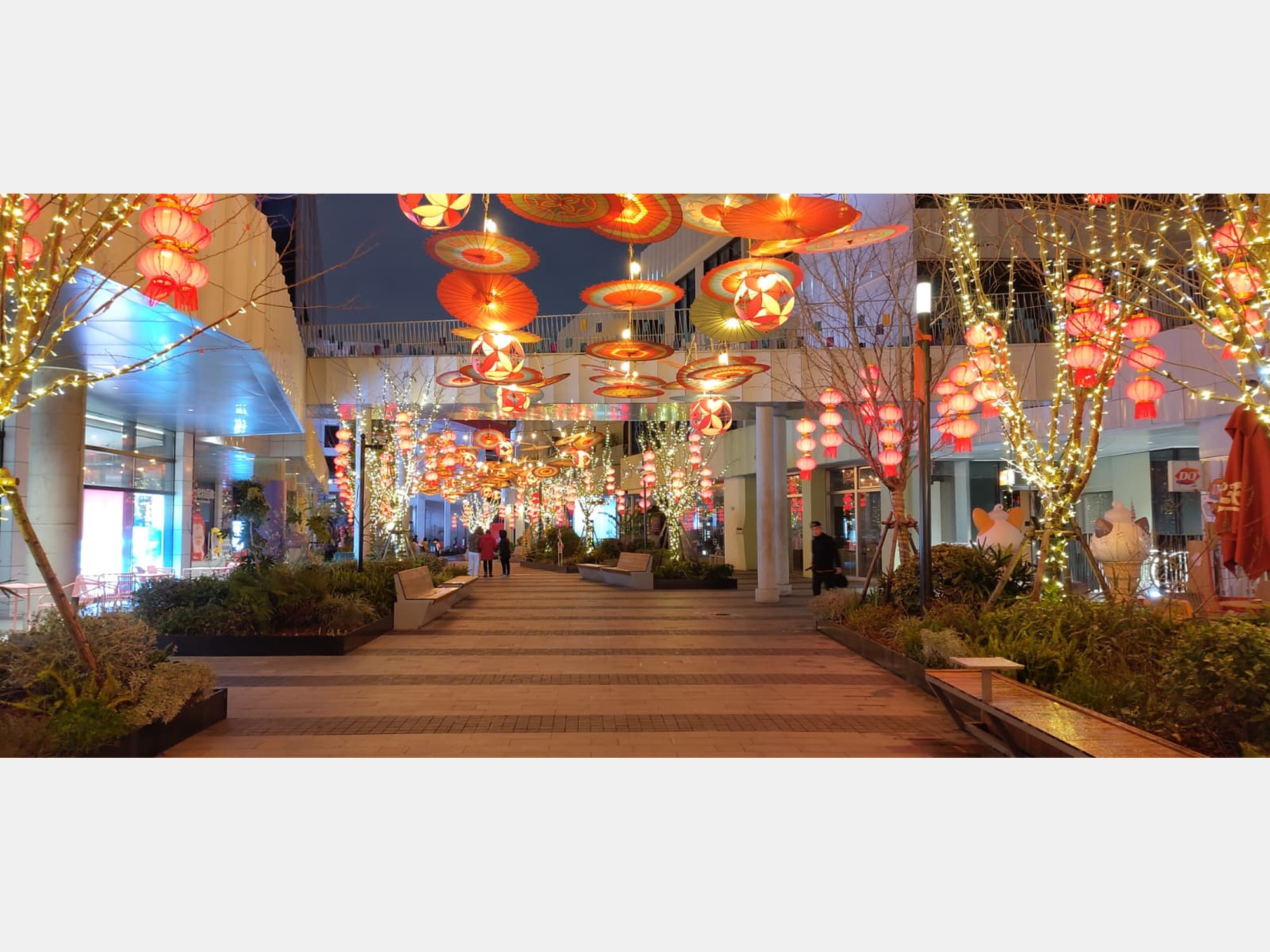Image from Shanghai Jiao Tong University