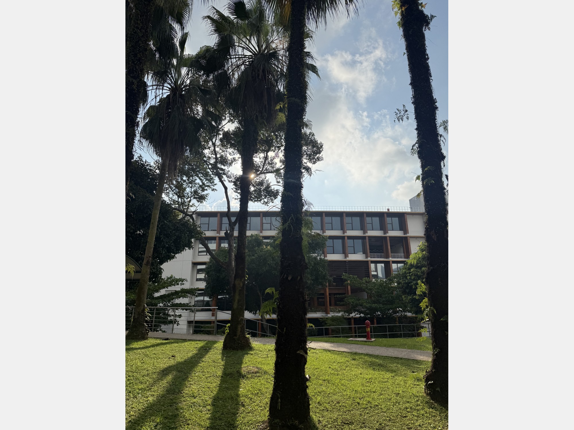 Image from Nanyang Technological University