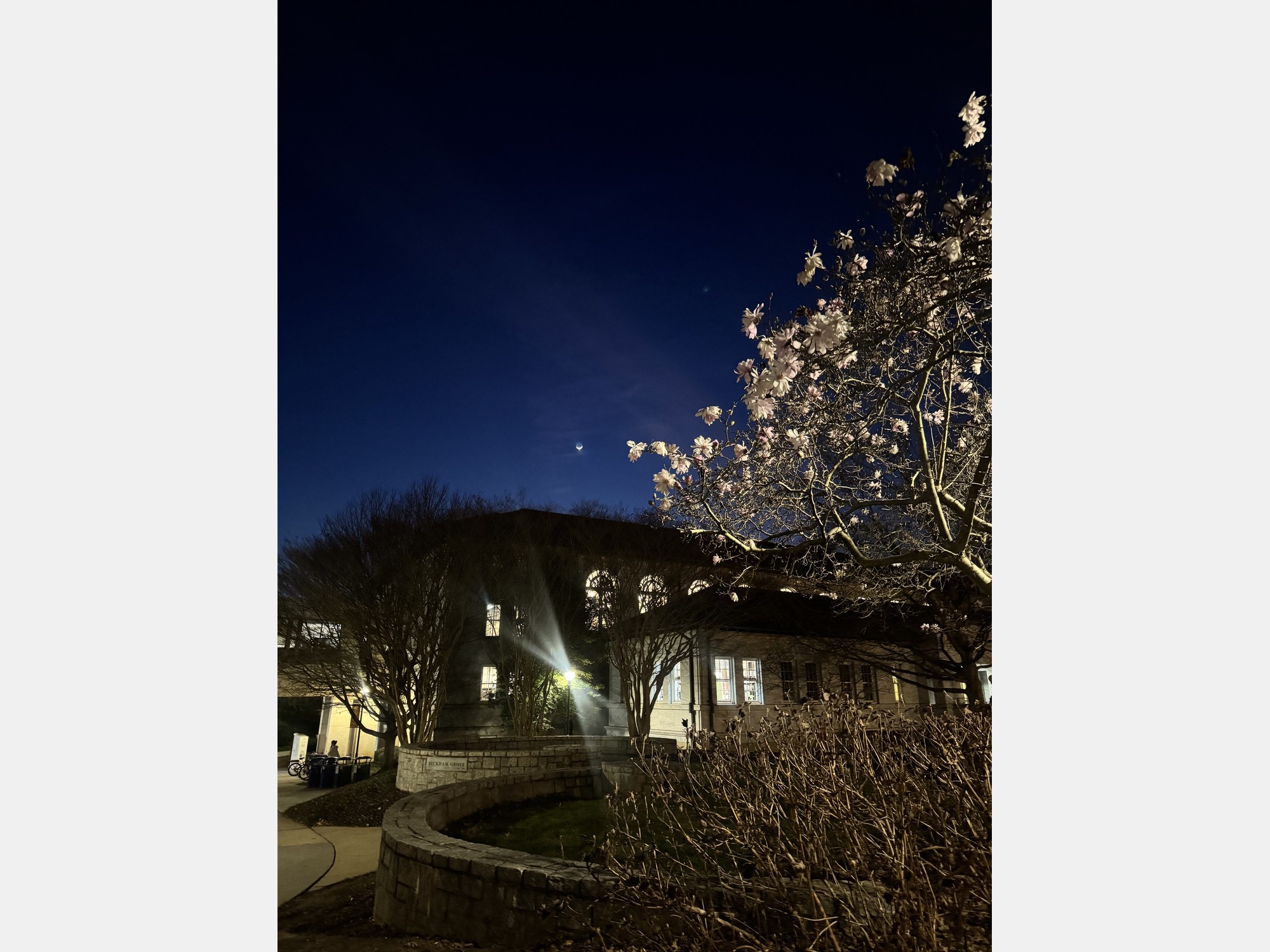 Image from Emory University