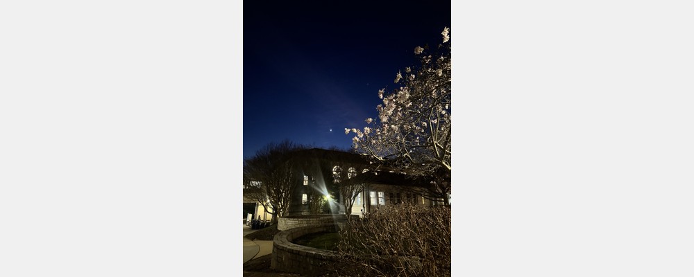 Image from Emory University