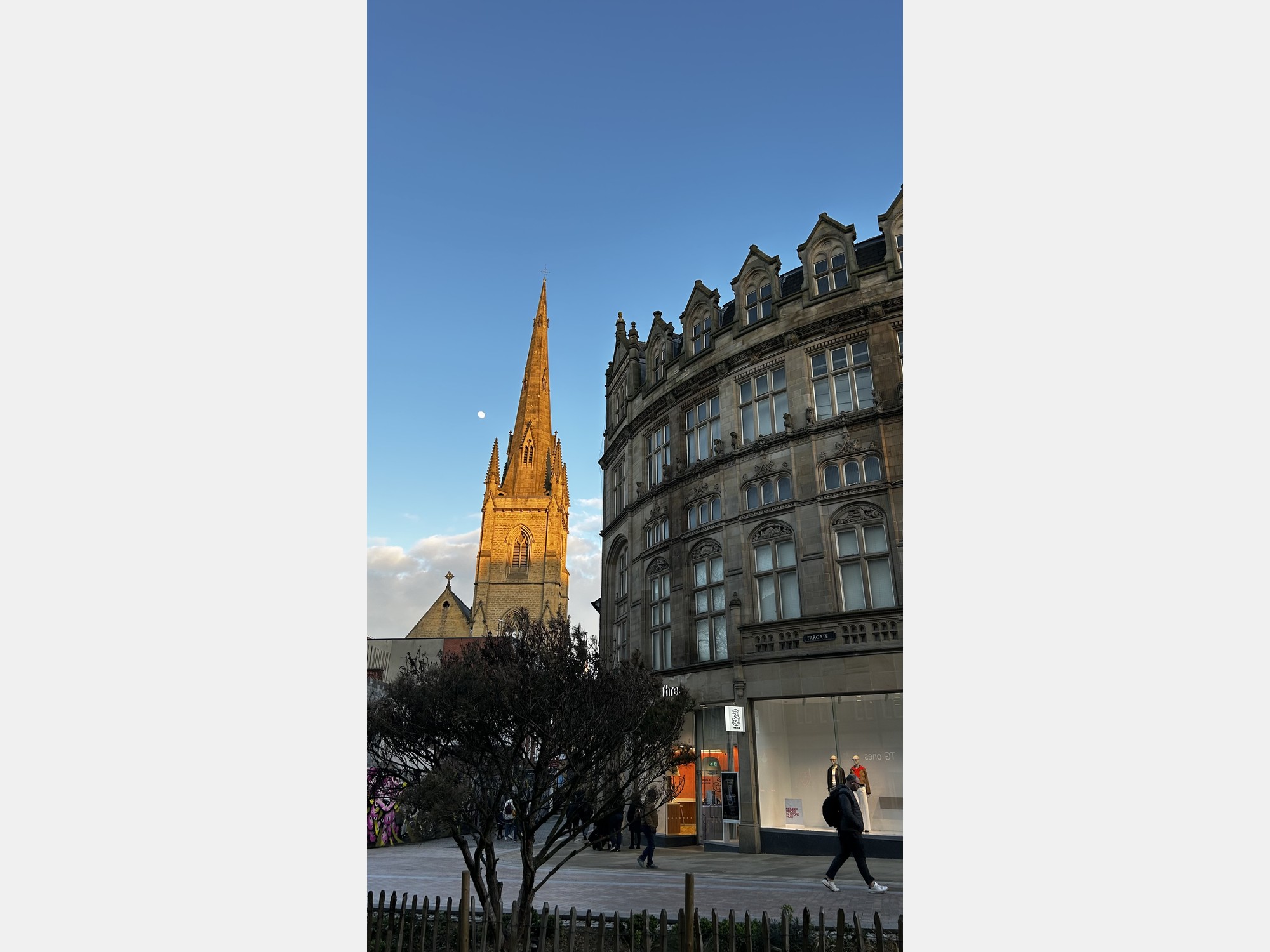 Image from The University of Sheffield