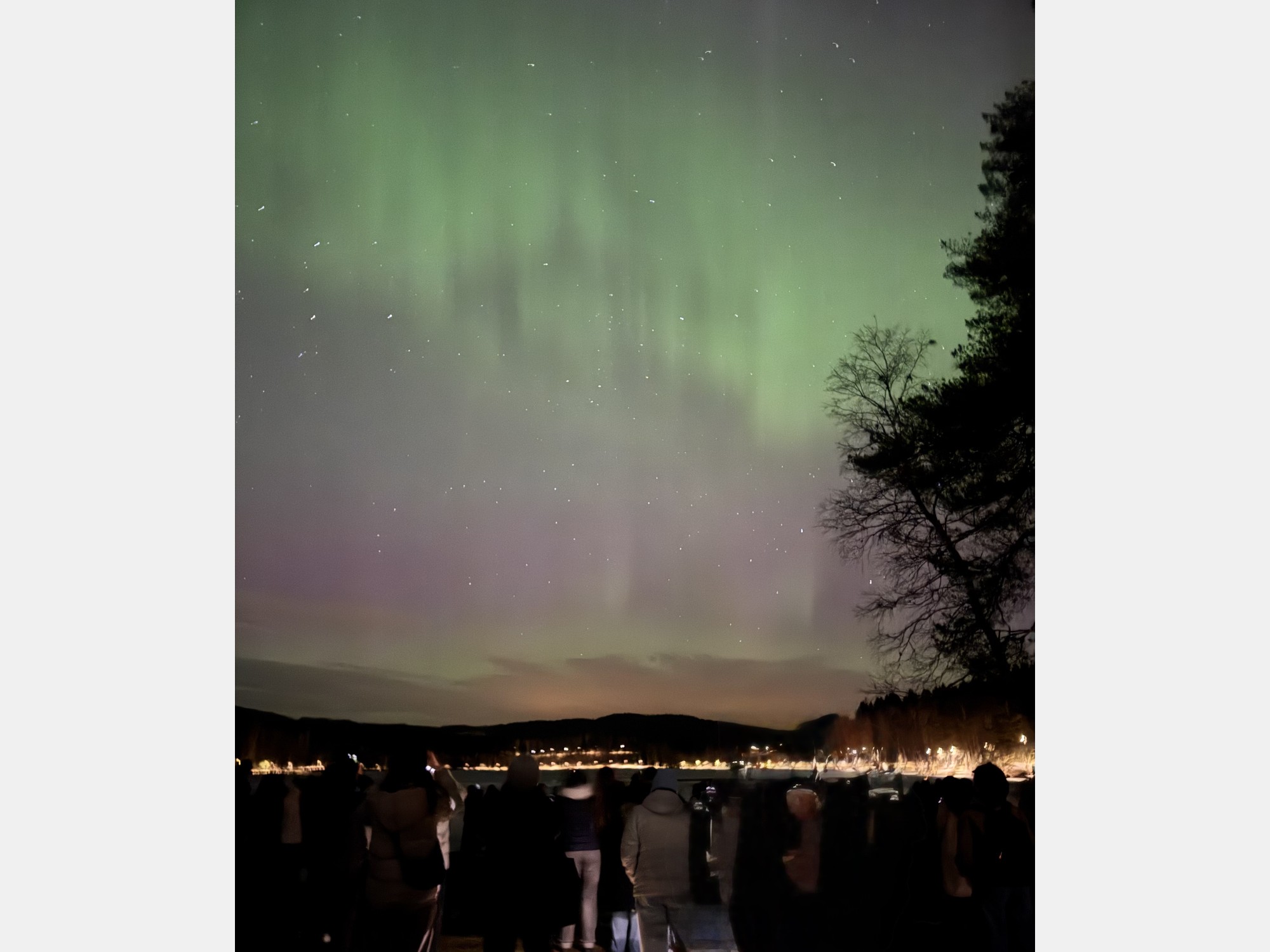 Image from BI Norwegian Business School