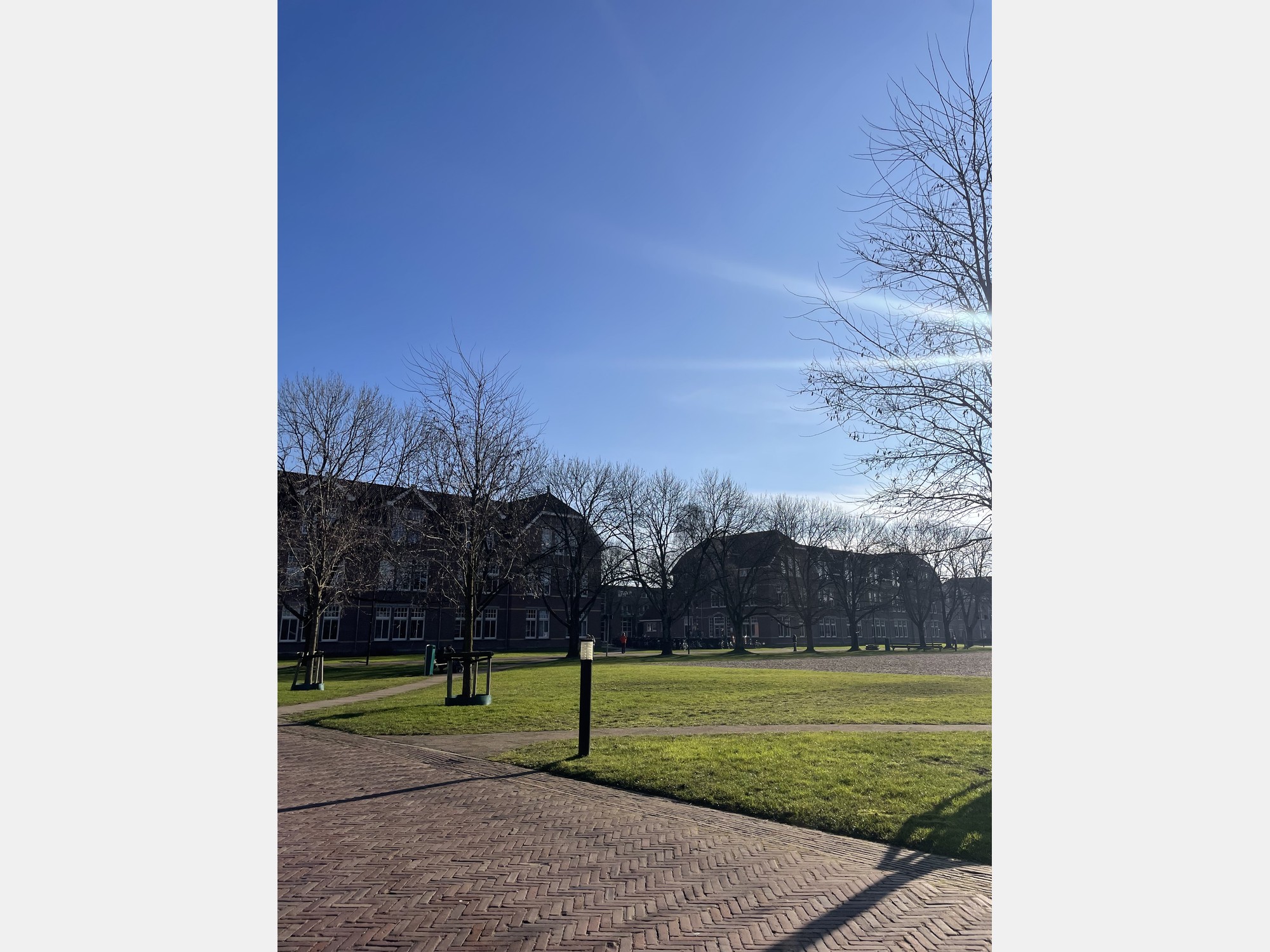 Image from Utrecht University
