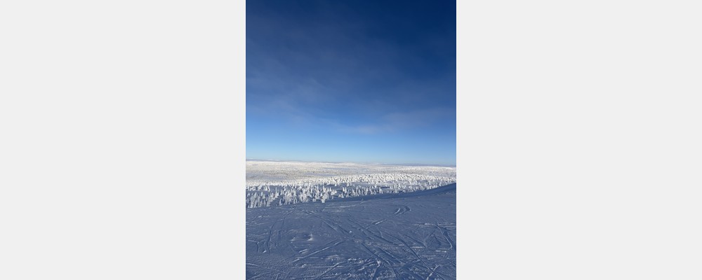 Image from BI Norwegian Business School