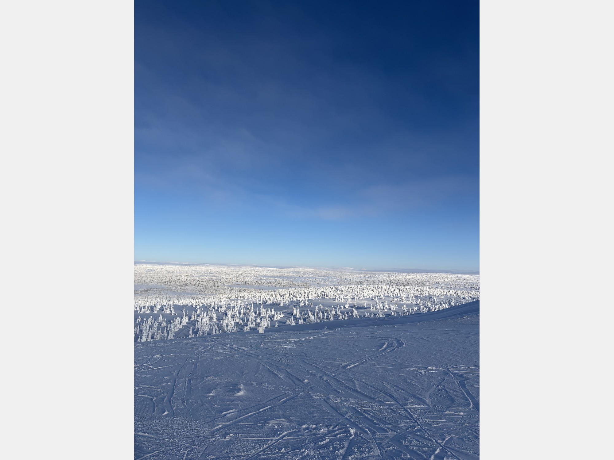 Image from BI Norwegian Business School