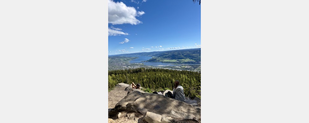 Image from BI Norwegian Business School