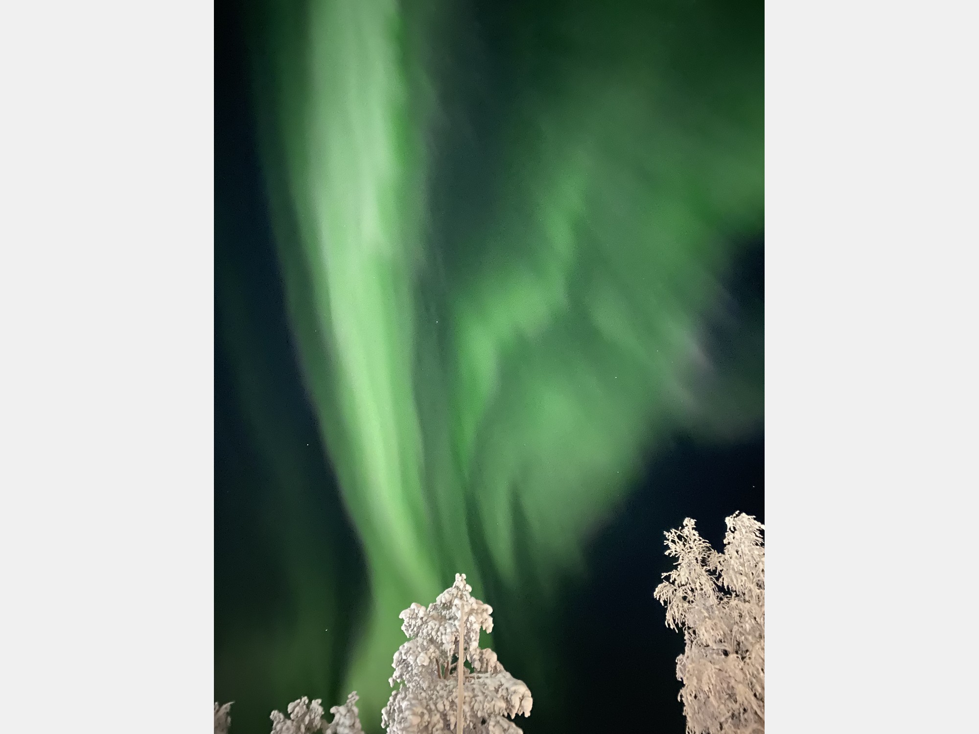 Image from Hanken School of Economics