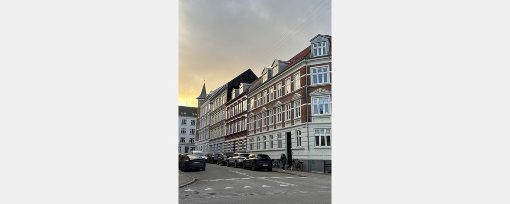 Image from Aarhus University