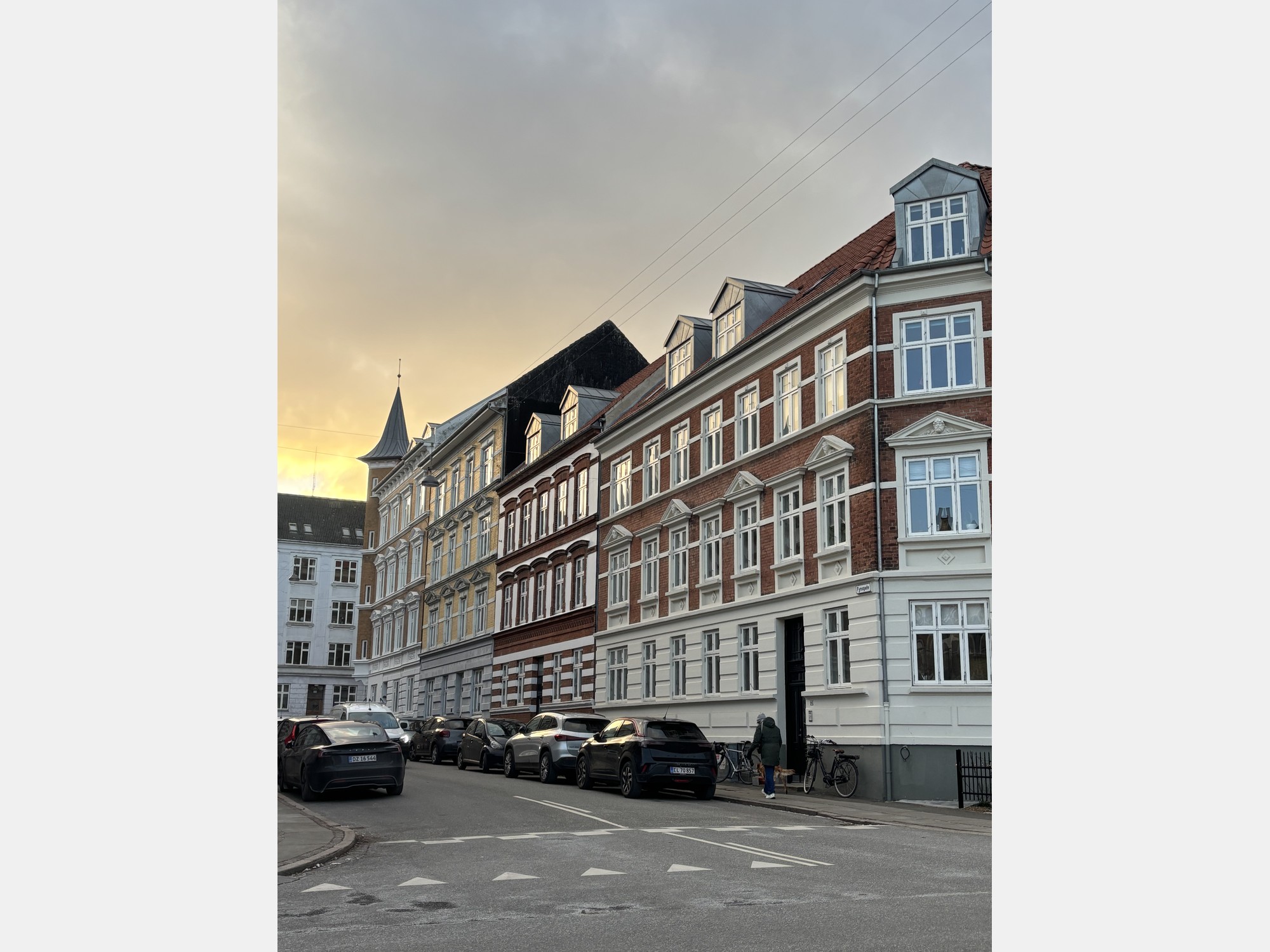 Image from Aarhus University