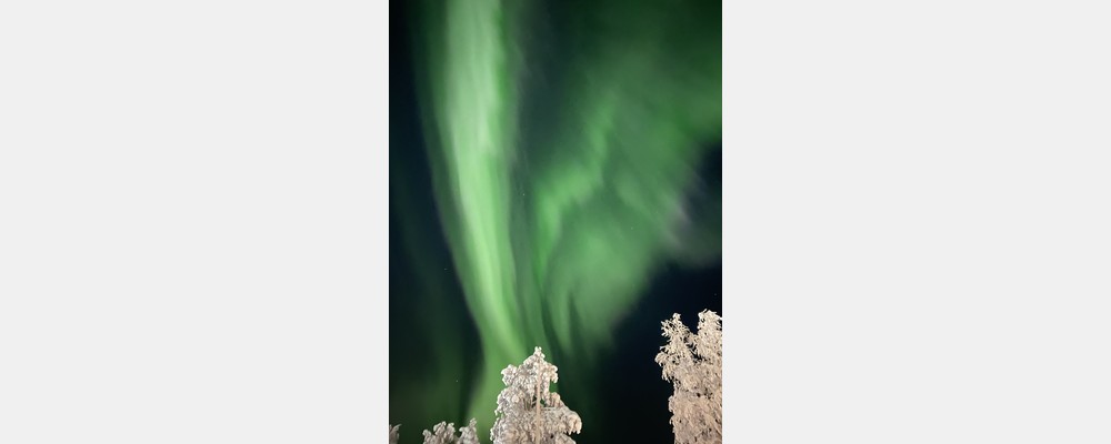 Image from Hanken School of Economics