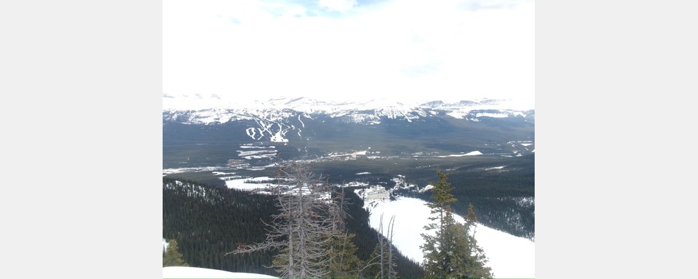 Image from University of Calgary