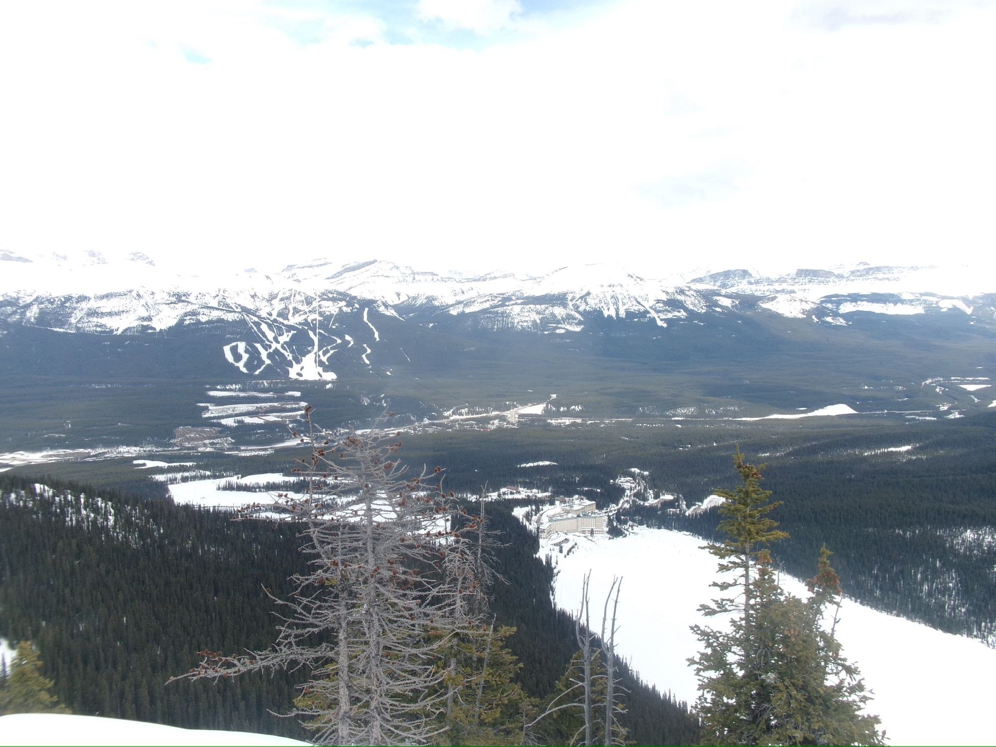 Image from University of Calgary