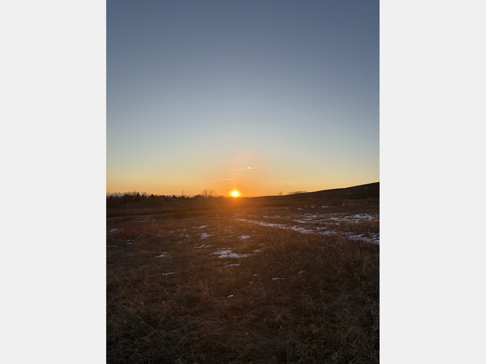 Image from University of Calgary