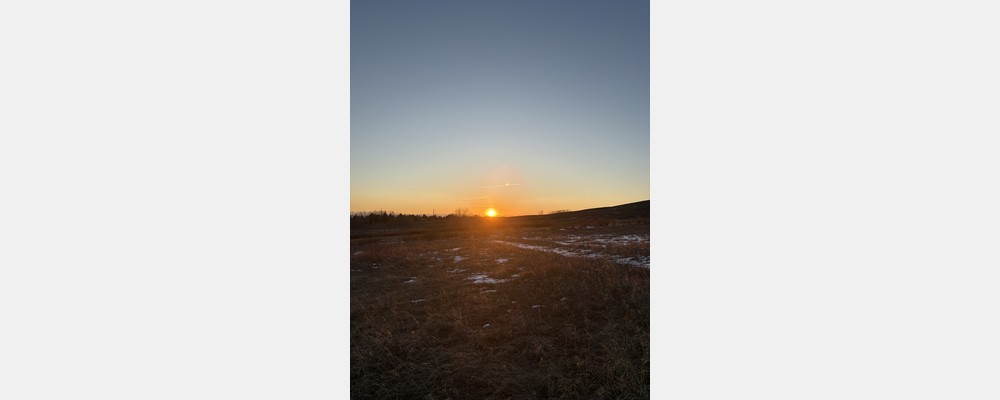 Image from University of Calgary
