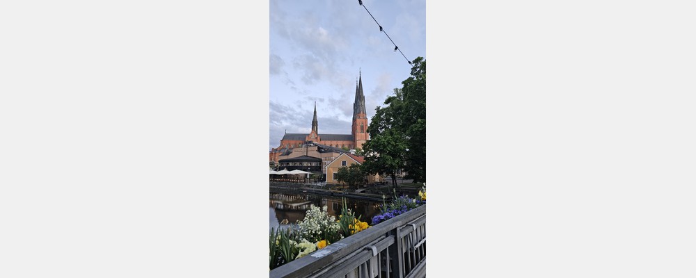 Image from Uppsala University