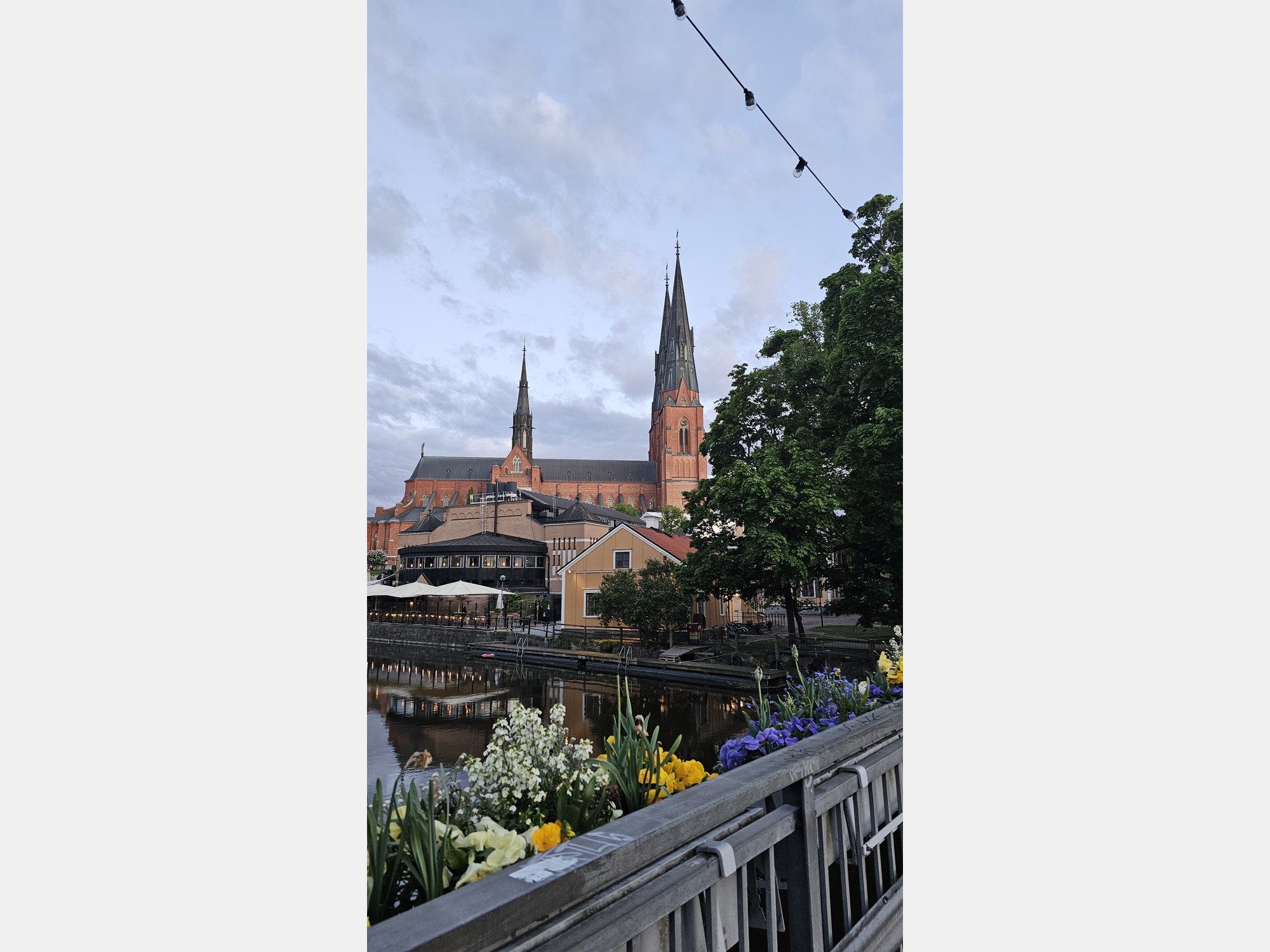 Image from Uppsala University