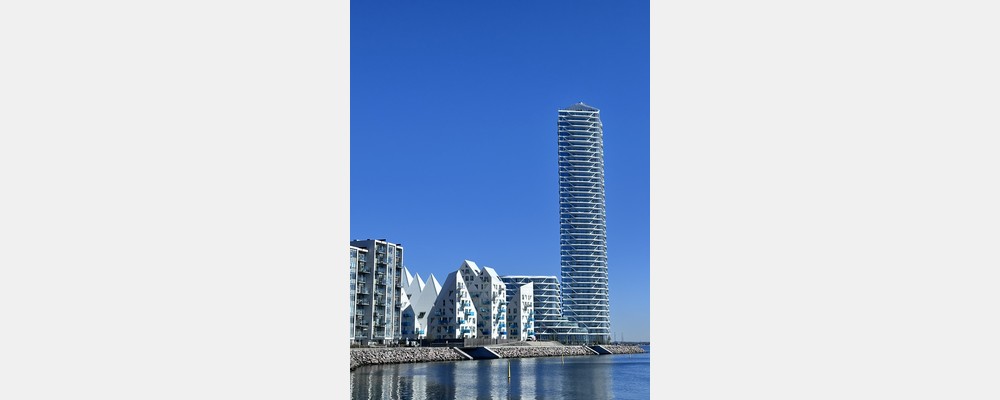 Image from Aarhus University