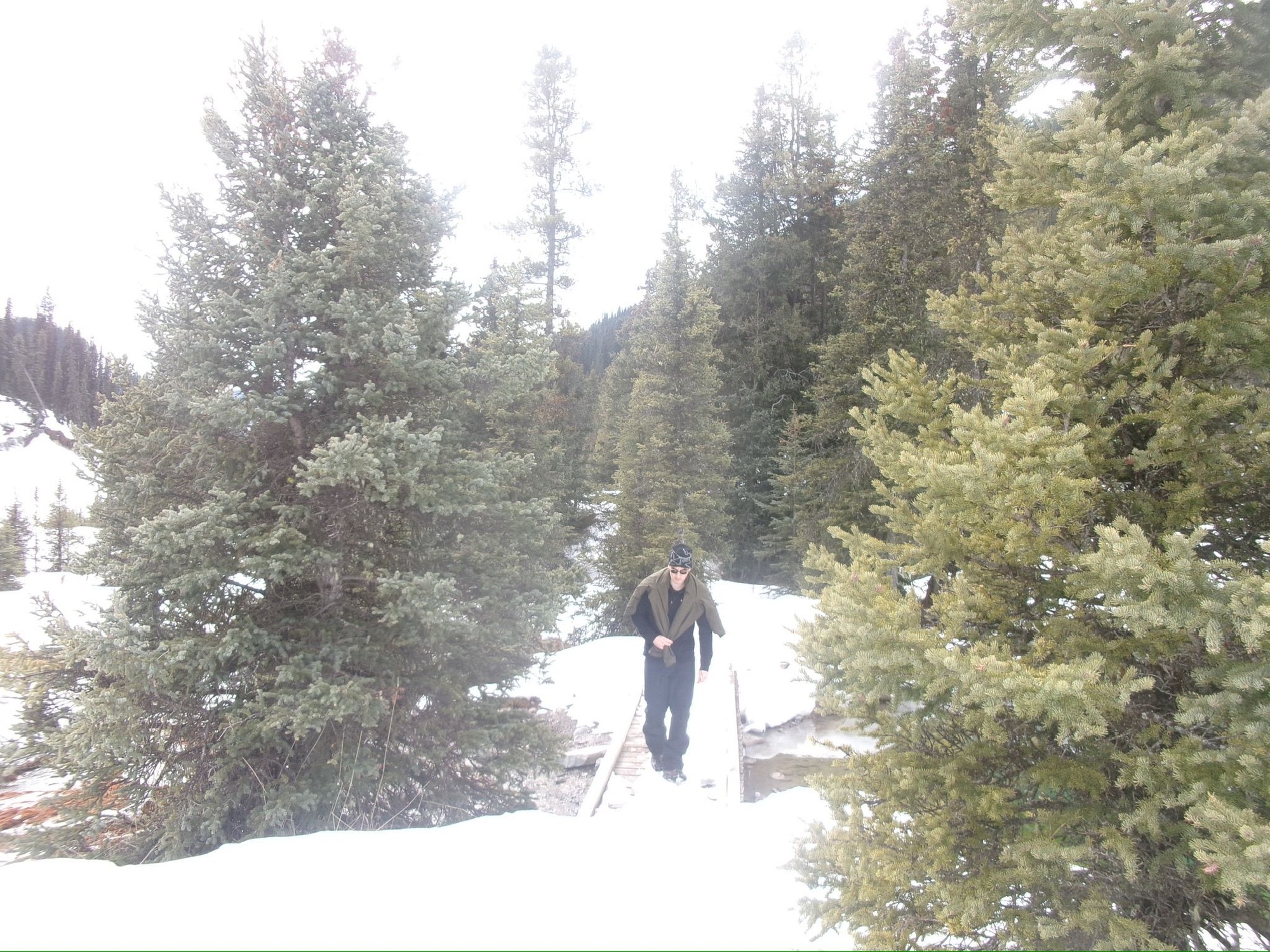 Image from University of Calgary