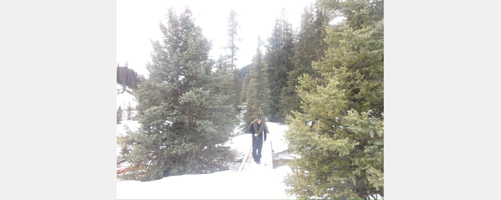 Image from University of Calgary