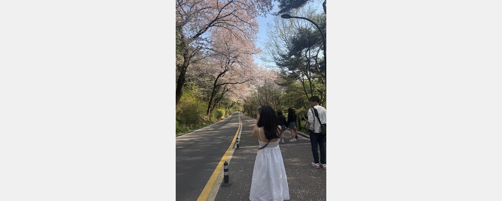 Image from Yonsei University