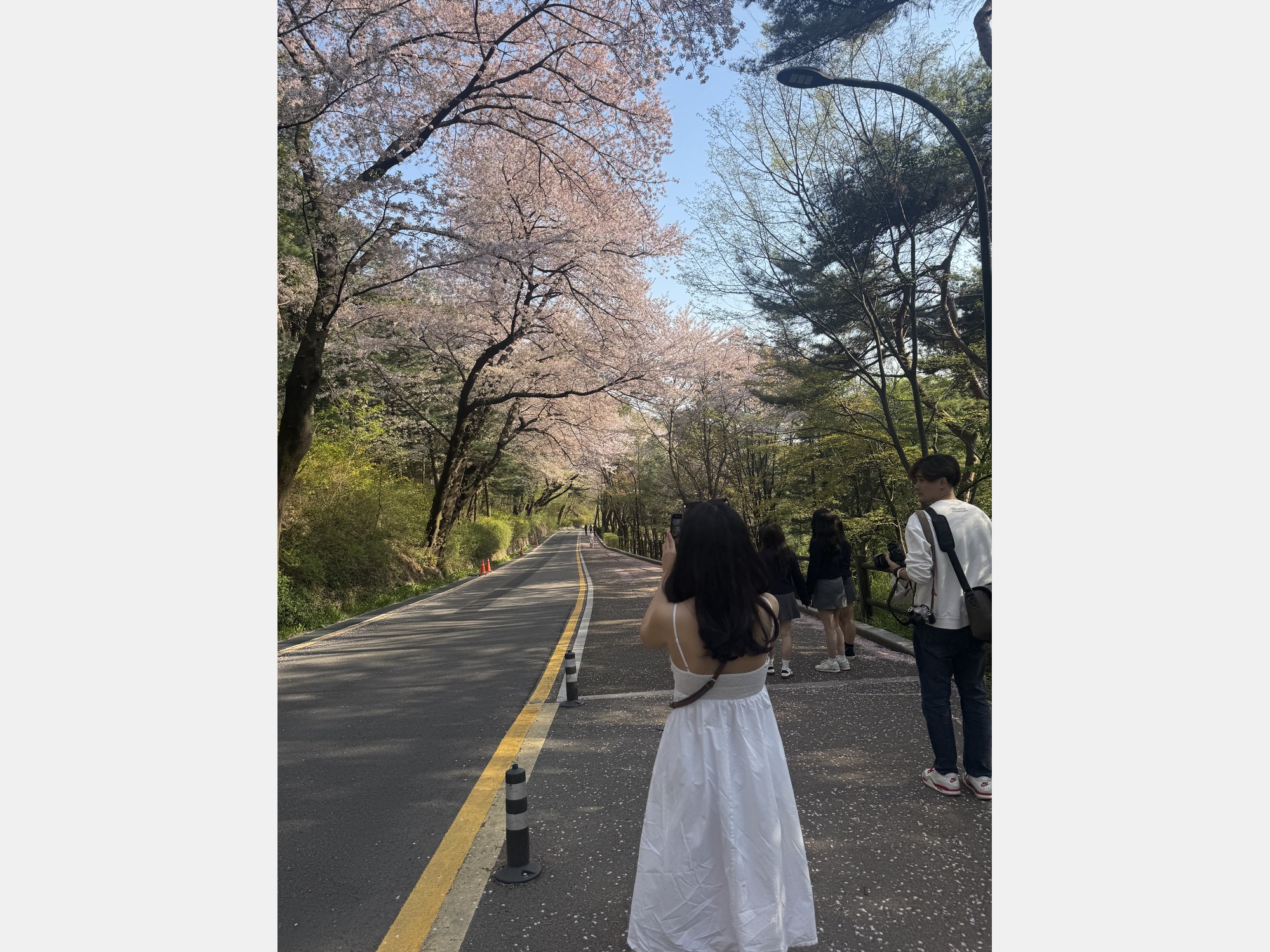 Image from Yonsei University