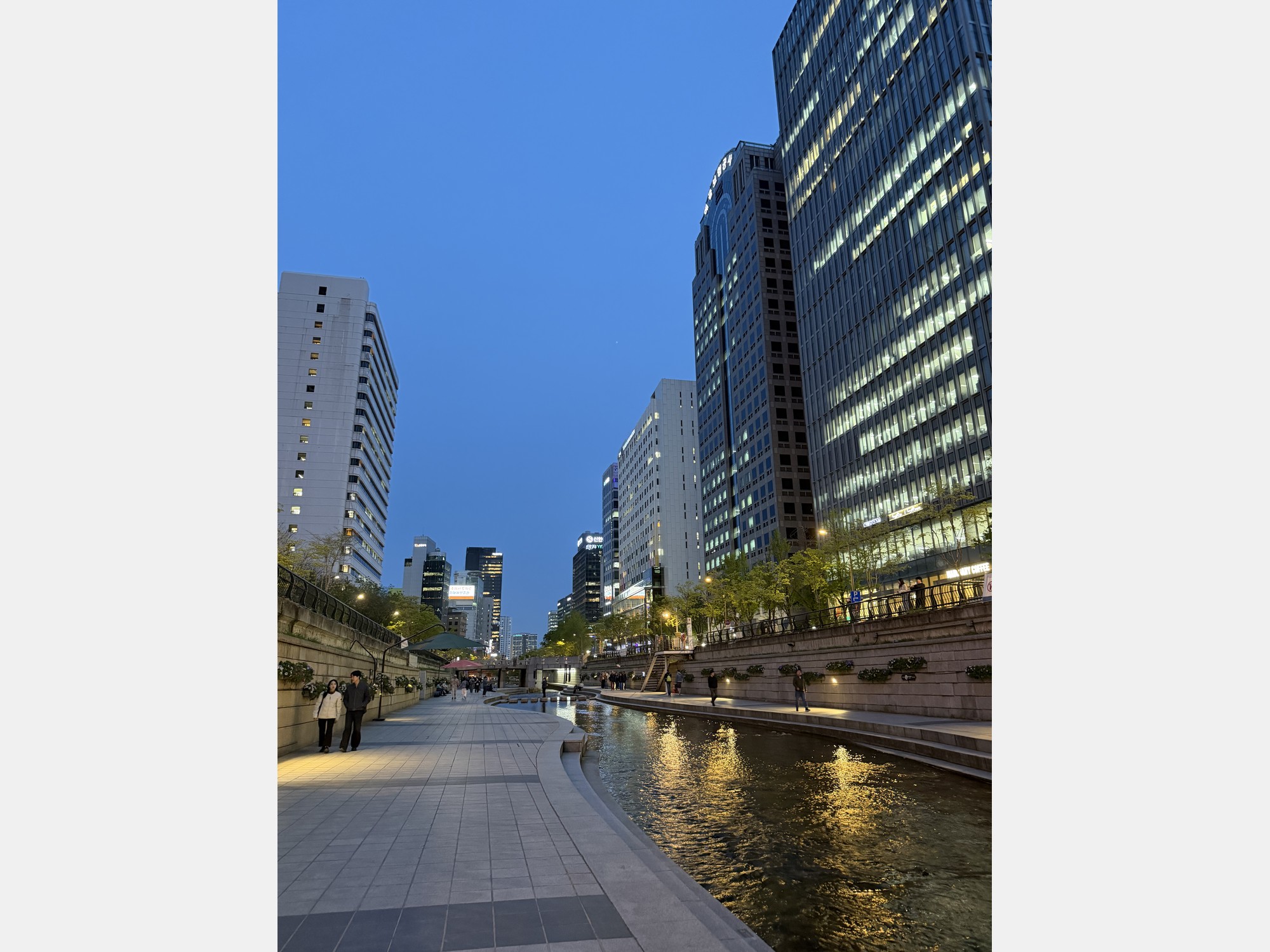 Image from Yonsei University