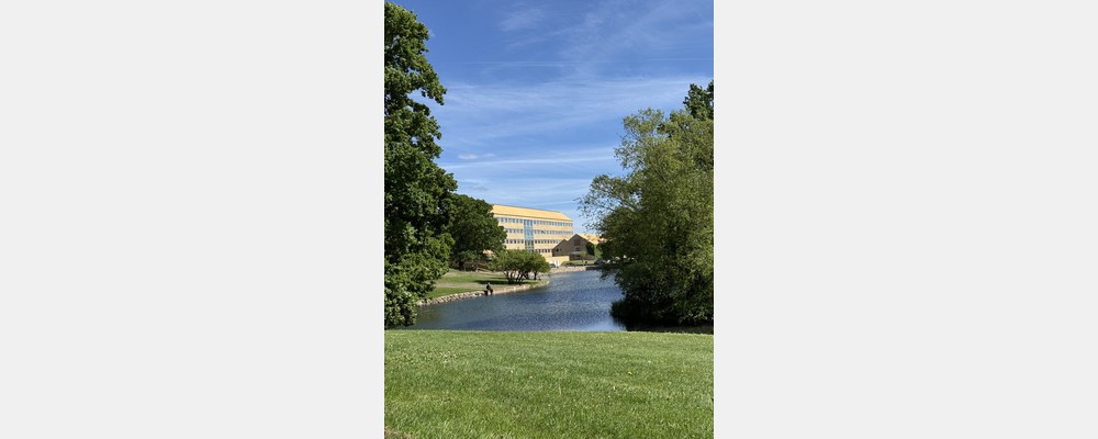Image from Aarhus University
