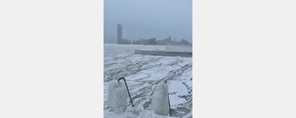 Image from Aarhus University