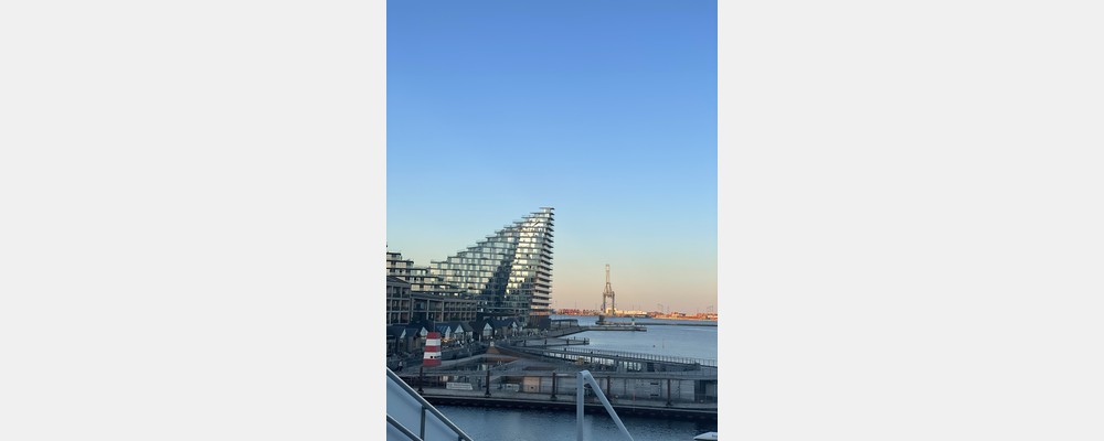 Image from Aarhus University