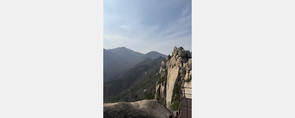 Image from Yonsei University