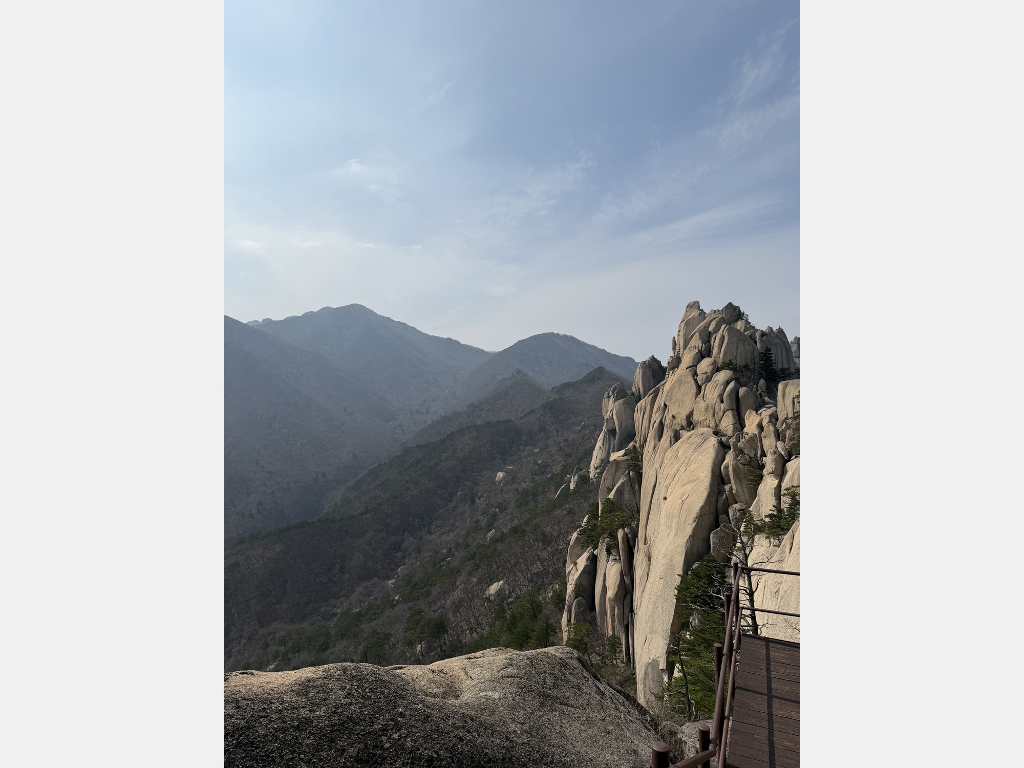 Image from Yonsei University