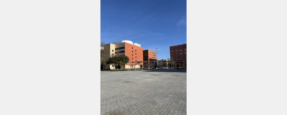Image from Universitat de Valencia