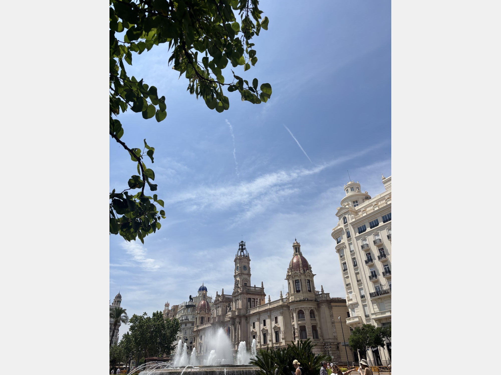 Image from Universitat de Valencia
