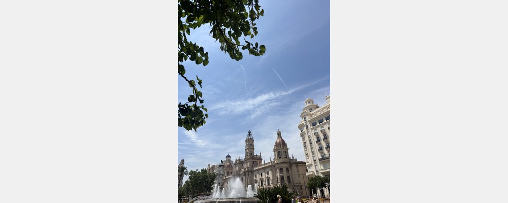 Image from Universitat de Valencia